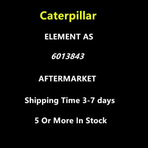 Caterpillar Aftermarket 6013843