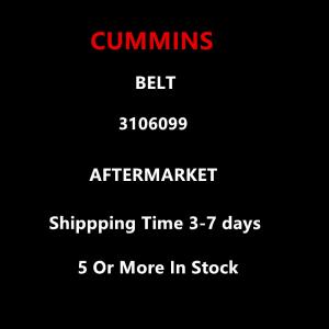 Cummins Aftermarket 3106099