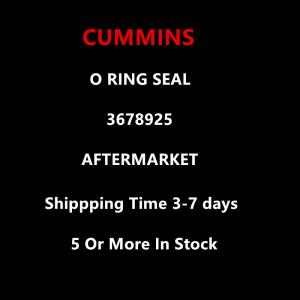 Cummins Aftermarket 3678925