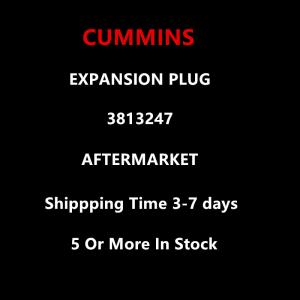 Cummins Aftermarket 3813247