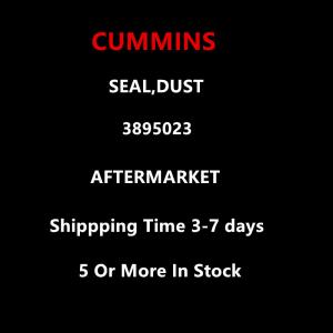 Cummins Aftermarket 3895023