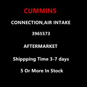 Cummins Aftermarket 3965573