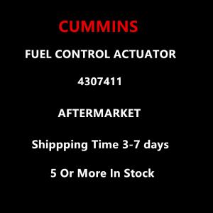 Cummins Aftermarket 4307411