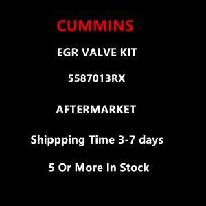 Cummins Aftermarket 5587013RX