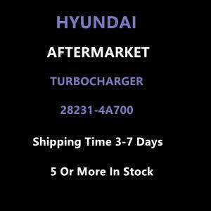 Hyundai Aftermarket 28231-4A700