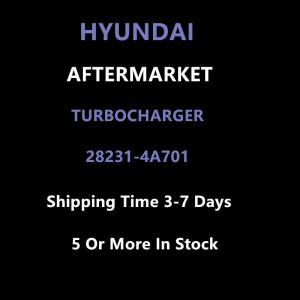 Hyundai Aftermarket 28231-4A701